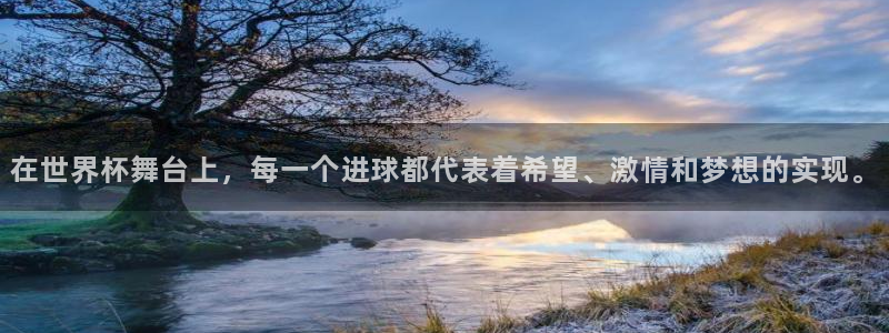 世界杯对阵表：在世界杯舞台上，每一个进球都代表着希望、激情和梦想的实现。