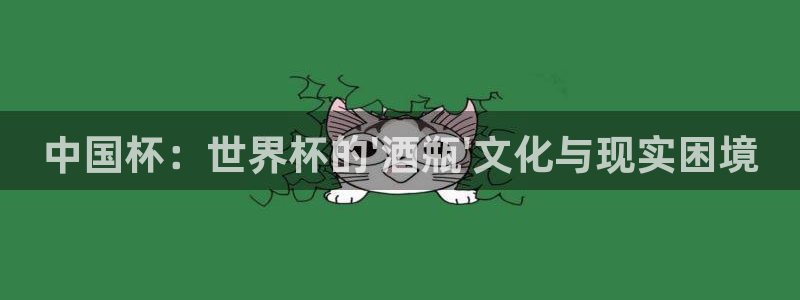 今天所有足球赛程表：中国杯：世界杯的\'酒瓶\'文化与现实困境