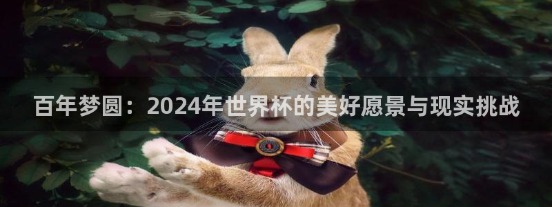 男足世界杯预选赛赛程：百年梦圆：2024年世界杯的美好愿景与现实挑战
