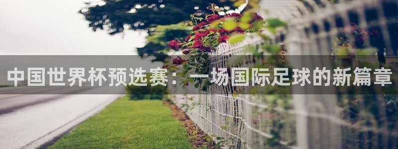 世界杯2026赛程时间表格：中国世界杯预选赛：一场国际足球的新篇章