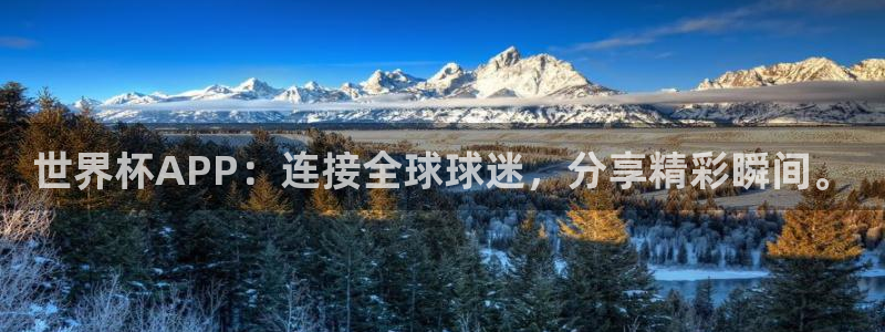 世界杯欧洲区预选赛赛程：世界杯APP：连接全球球迷，分享精彩瞬间。