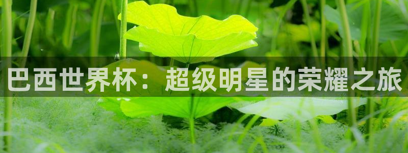 国际足联世界杯：巴西世界杯：超级明星的荣耀之旅