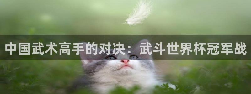 世界杯亚洲区预选赛赛程表：中国武术高手的对决：武斗世界杯冠军战