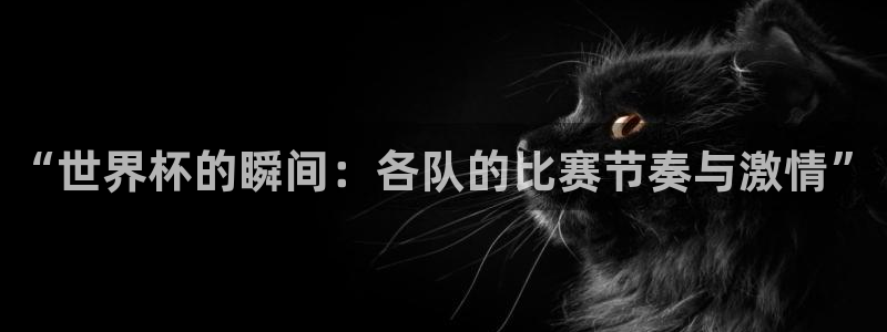 世界杯欧洲预选赛赛程：“世界杯的瞬间：各队的比赛节奏与激情”