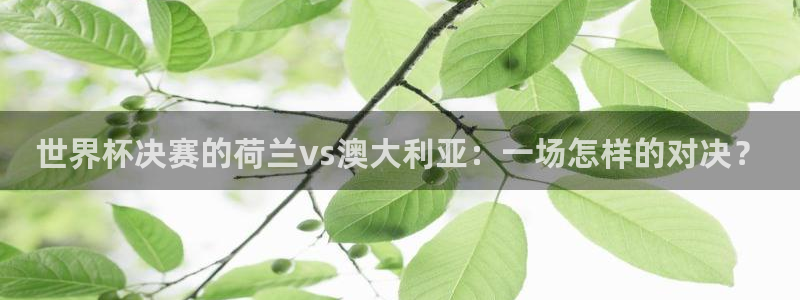 世界杯直播时间：世界杯决赛的荷兰vs澳大利亚：一场怎样的对决？