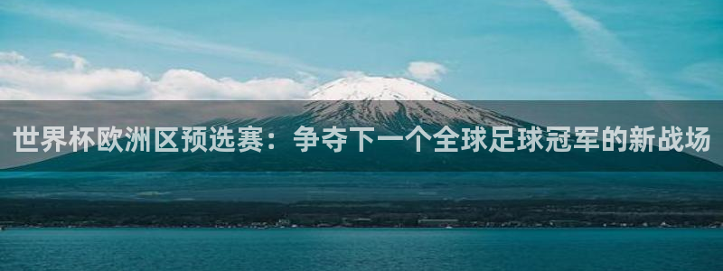 世界杯今年：世界杯欧洲区预选赛：争夺下一个全球足球冠军的新战场