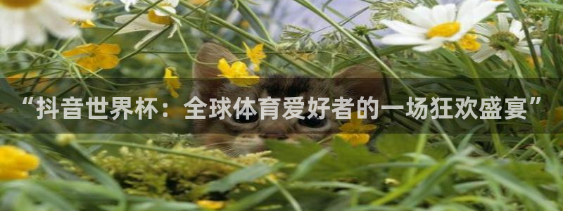 2026世界杯欧洲预选赛赛程表：“抖音世界杯：全球体育爱好者的一场狂欢盛宴”