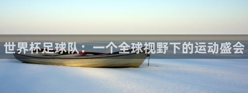 世界杯预选赛规则：世界杯足球队：一个全球视野下的运动盛会