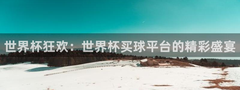 女足世界杯直播：世界杯狂欢：世界杯买球平台的精彩盛宴
