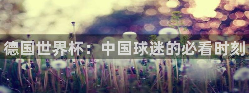 世界杯预选赛规则：德国世界杯：中国球迷的必看时刻